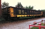 CSXT 481864 in Railgon paint